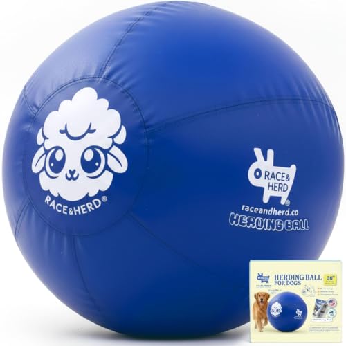 30" Original Herding Ball for Dogs (Ocean - XL 30" Herding Ball Set / XL 30")