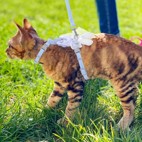 Cat Harness and Leash Set (Ribbon Bear Blue)