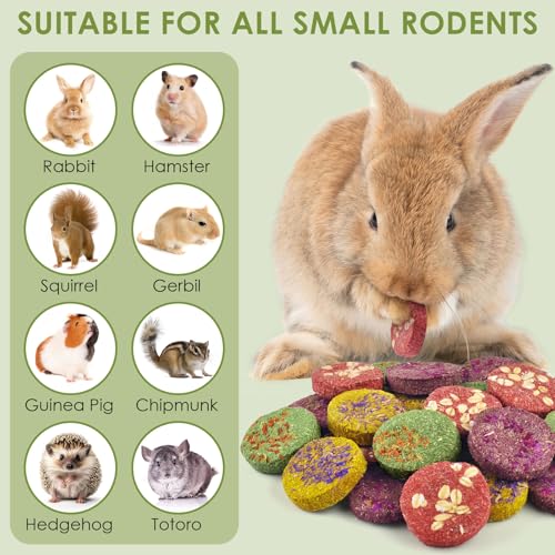 24Pcs Bunny Chew Toys (24 Count (Pack of 1))
