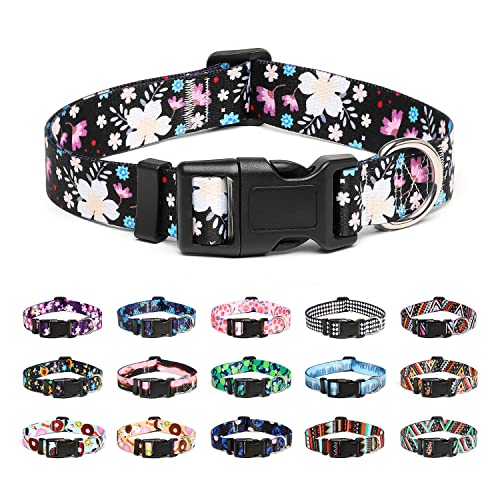 Adjustable Dog Collar (Small / Floral White)