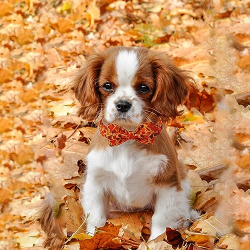 Dog Collar with Bowtie (A:Red Leaves / Medium (Pack of 1))
