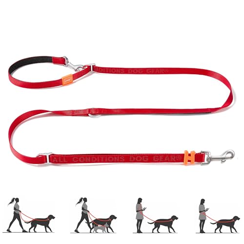 Multifunctional Adjustable Hands Free Leash (Red / Standard)