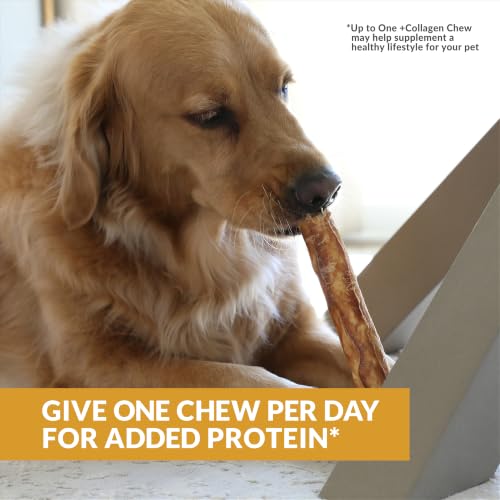 Lamb Collagen Cheek Rolls 10 Inch Dog Chews (11 Ounce (Pack of 3))