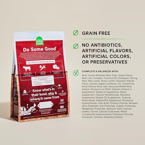 Grain Free Dry Dog Food (11 Pound (Pack of 1))