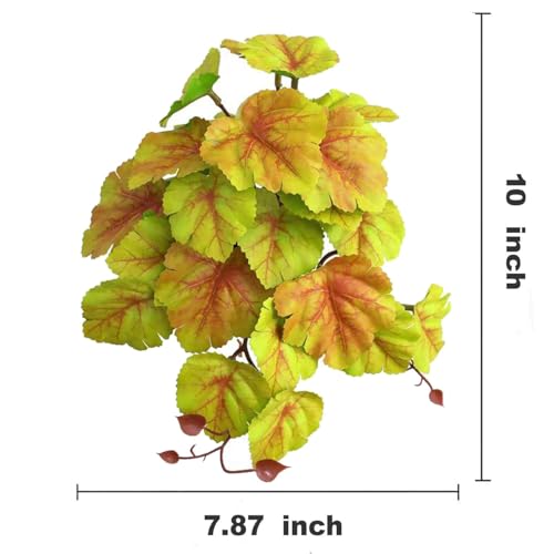 Reptile Plants for Terrarium (Heuchera Micrantha Yellow)
