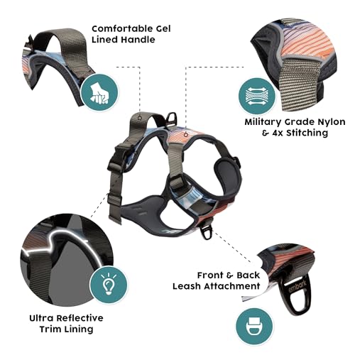 Embark No Pull Dog Harness (L / Santa Monica)
