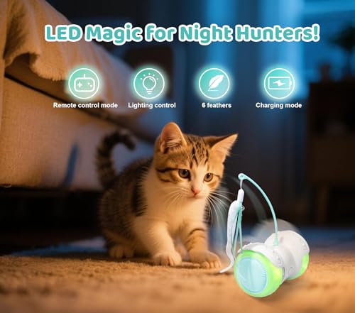 Remote Control Cat Toy with Auto Mode