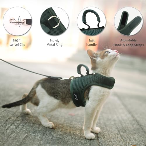 Cat Harness and Leash Set for Walking Escape Proof (Green / S 4-6 lbs)