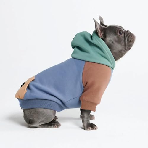 Dog Hoodie Buttery (Alpine / X-Large)