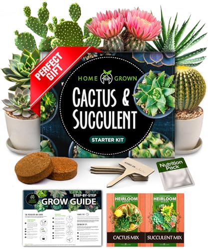 Succulent & Cactus Seed Starter Kit
