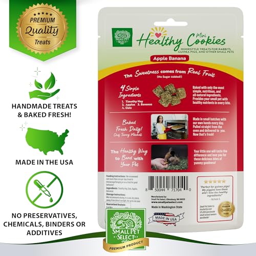 Healthy Snacker (2 Ounce (Pack of 1))