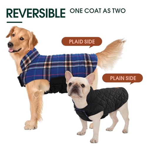 Waterproof Dog Coat (Navy / Large (Pack of 1))
