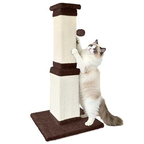 Cat Scratching Post for Indoor Cats (Brown)