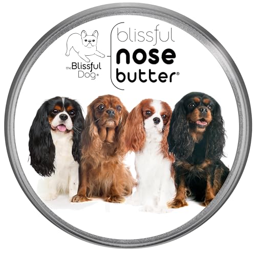 Cavalier King Charles Spaniel Nose Butter (Cavalier King Charles Spaniel - All / 2 Ounce)