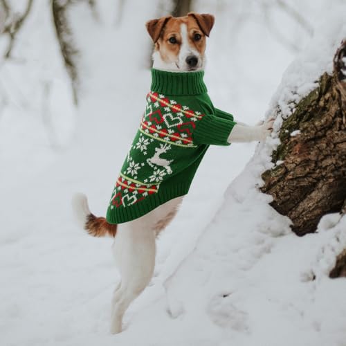 XL Dog Sweater (X-Large / Christmas Green)