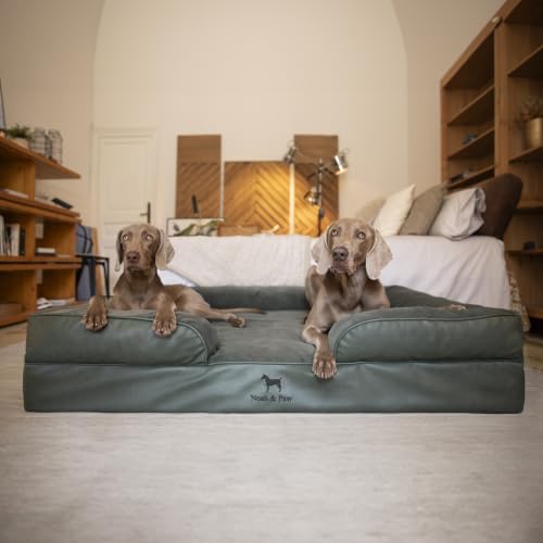 XXL Dog Bed Orthopedic Memory Cooling Foam (Green - LE / XX-Large)