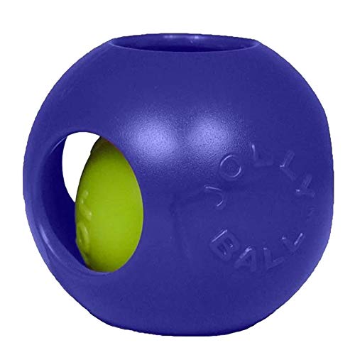 Teaser Ball Interactive Dog Toy (Blue / Medium (6 in))