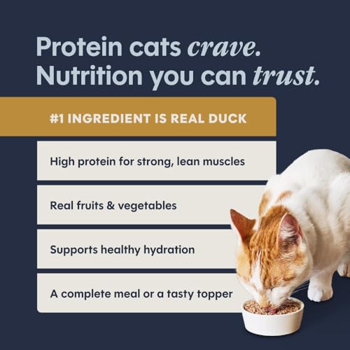 Pate Entrees Wet Canned Cat Food (5.5 Ounce (Pack of 12))