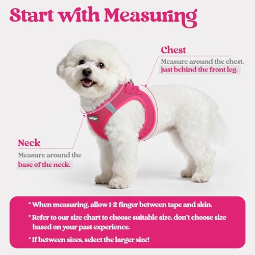 Dog Harness Medium Sized and Leash Set (Rose Red / L (chest: 18.2 - 20.5"))