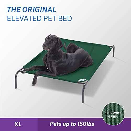Original Elevated Dog Bed (X-Large Dog Bed / Brunswick Green (Pack of 1))