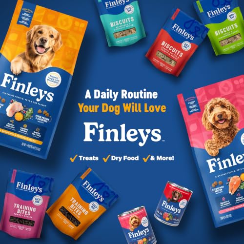 Training Treats Salmon Soft Low Calorie Dog Treats (16 Ounce (Pack of 1))