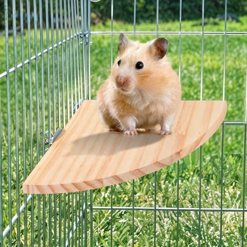 Bird Perch Platform Stand Wooden Parrot Perch Corner 6.7 Inches Fan Shape Playground Cage Accessories Parrot Stand Flat Perches for Bird Cages Corner Shelf for Birds Parrots Hamster Gerbil (17cm x 17cm x 1.2cm)