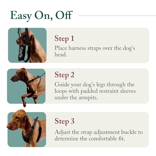No Pull Dog Harness (Small / Blue)
