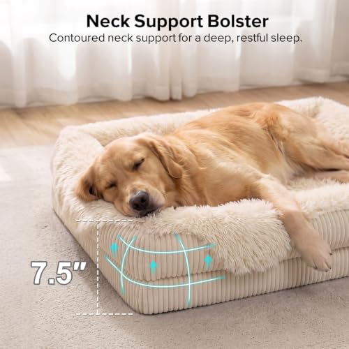 Orthopedic Dog Bed for Large Sized Dog (Cream / 38"L x 28"W x 7"T)