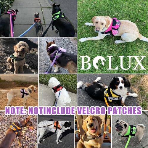 Dog Harness No (Small (Pack of 1) / Lavender)