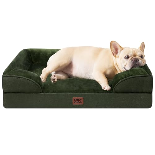 Orthopedic Dog Bed Medium Size Dog (Dark Green / 30.0"l X 20.0"w X 6.5"th)