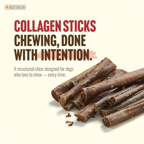 Bully Coated Gourmet Collagen Sticks (4" Gourmet - 25 Count)