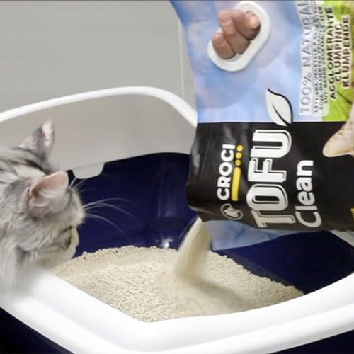 Tofu Clean Cat Litter (4.5 kg (Pack of 1) / NATURAL)