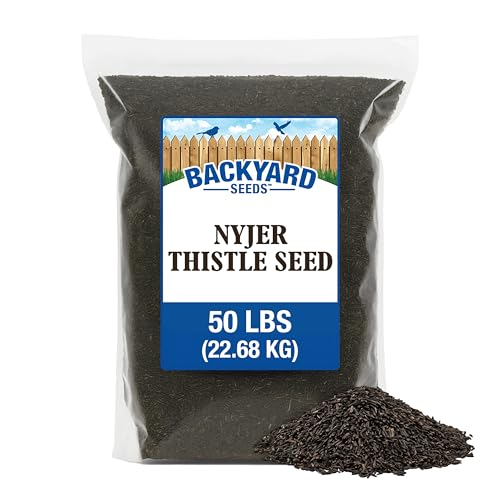 50LB Nyjer Seed for Finches (Nyjer Thistle / 50 Pound (Pack of 1))