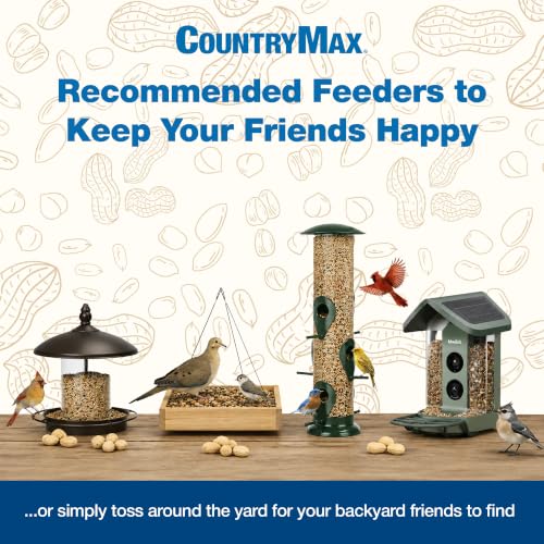 20LB Sunflower Seeds for Birds (Sunflower - Medium Chips / 20 Pound (Pack of 1))