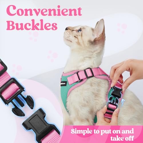 Cat Harness and Leash Set