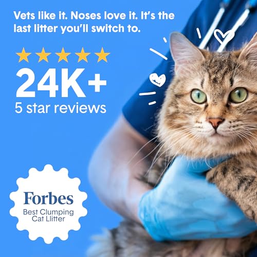 Boxie Probiotic Natural Lightweight Cat Litter 40+ Day Odor Control 11.5 lb (11.5 lb)
