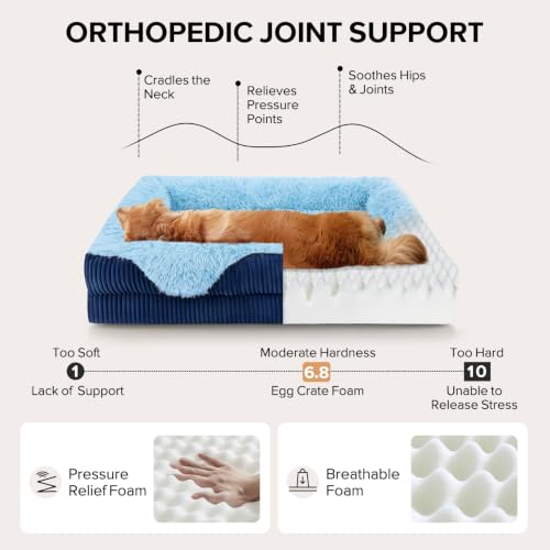 Orthopedic Dog Bed for Large Sized Dog (Blue / 42"L x 30"W x 7"T)