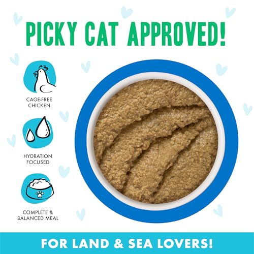 B.F.F. Play Best Feline Friend Paté Lovers (2.8 Ounce (Pack of 12))