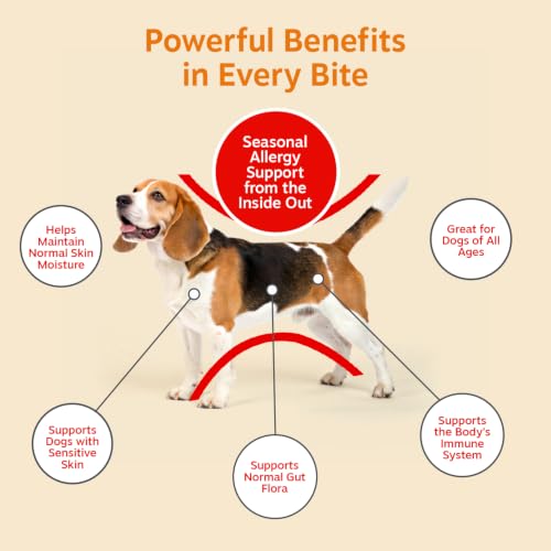Vet Strength Dog Allergy Chews (90 Count (Pack of 1) - Vet Strength)