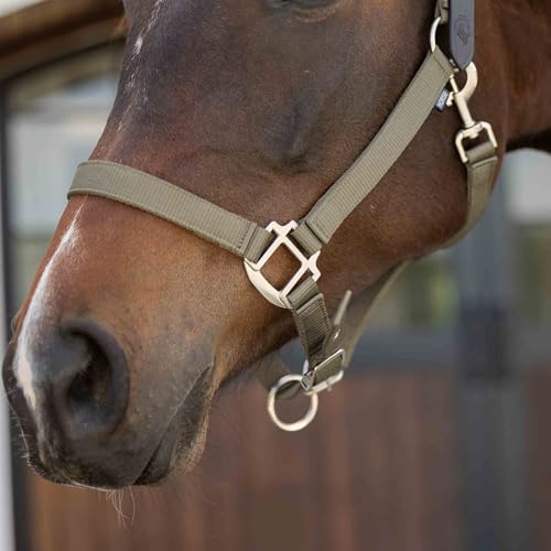 Loki Nylon Horse Halter (Light Olive / Cob)