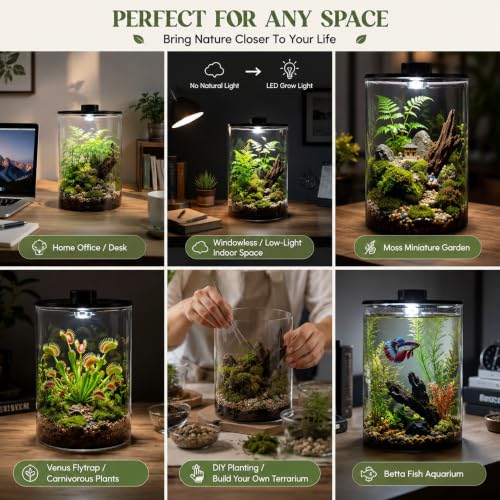 Glass Terrarium Kit with LED Grow Light for Desktop (9.8 x 5.9 Inch)