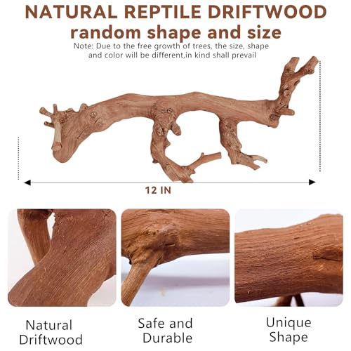 2PCS Reptile Wood Branches Decor (2Pcs 12in Reptile Wood Branches)