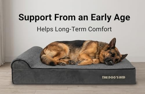 The Dog’s Bed Orthopedic Memory Foam Dog Bed with Headrest XL (Grey Plush / XL (46"L x 28"W x 6"Th))