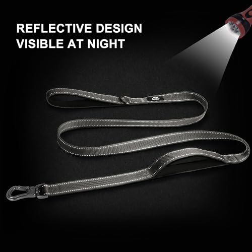 6FT 1IN Heavy Duty Dog Leash for Large Dogs with 2 Padded Handles (Grey / 1 in x 6 ft)