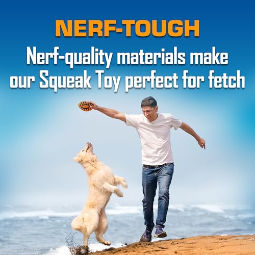 Dog Spiral Squeak Football Outdoor Dog Toy
