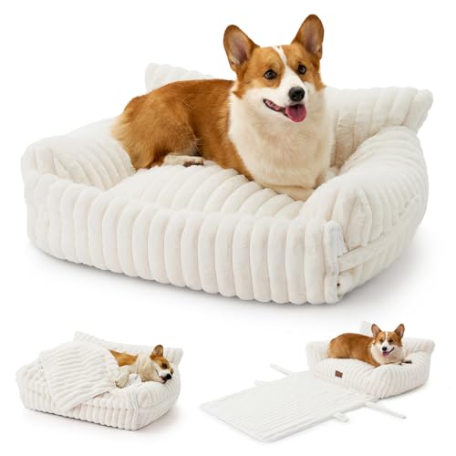 Cute Cat Bed with Removable Cover (Cream / Medium: 32'' x 24'')