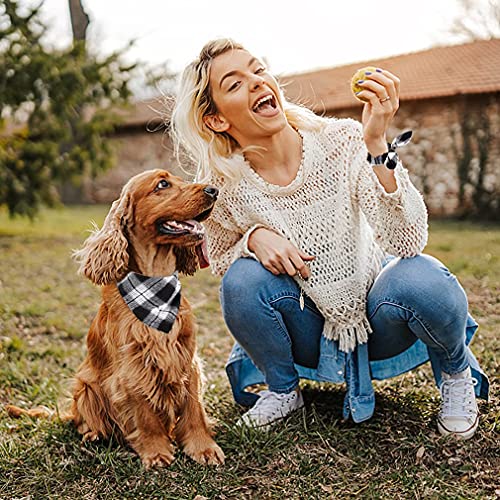 Christmas Plaid Dog Scarf & Matching Scrunchie Set (04-plaid-black / Small)