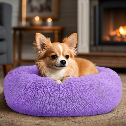 Dogs Bed for Small Dogs (Purple / 24.0"L x 24.0"W x 8.0"Th)