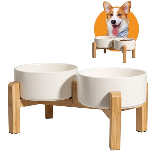 Elevated Ceramic Dog Bowl (White / Medium)
