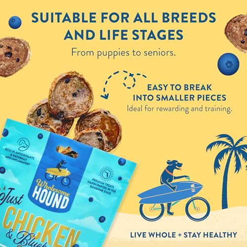 Chicken Blueberry Chips Dog Treats (3 Ounce)